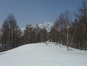 黒沢尾根