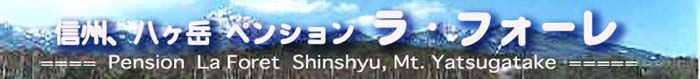 �悤�����A���E�t�H�[���̃z�[���y�[�W��