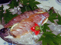 �C���i�A�A�}�S�̂������