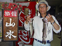 ���΂炵�������ł���