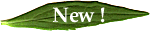 �V�����