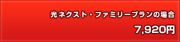 光ネクスト・ファミリープランの場合 7,920円