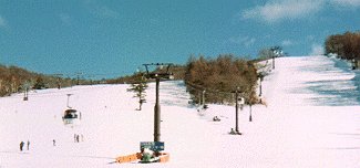 シャトルヴィーナス写真