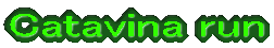 Catavina run