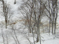 �Ɉ��f�u���I