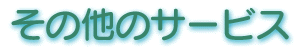 ̑̃T[rX