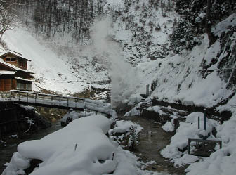 Gaizer in Jigokudani Monkey park