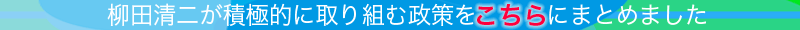 柳田清二の政策