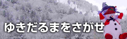 �䂫����܂�������