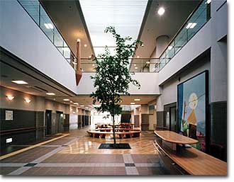 ���r�[�̎ʐ^������܂�