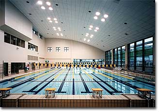 �v�[���̎ʐ^������܂�