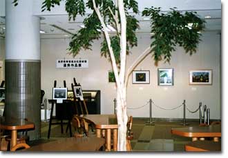 �W���R�[�i�[�̎ʐ^������܂�