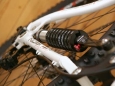 rear_sus_spring.jpg