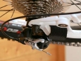 rear_d.jpg