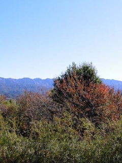 KICX0155.jpg