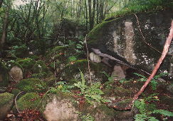 高原山(たかはらやま)黒曜石原産地